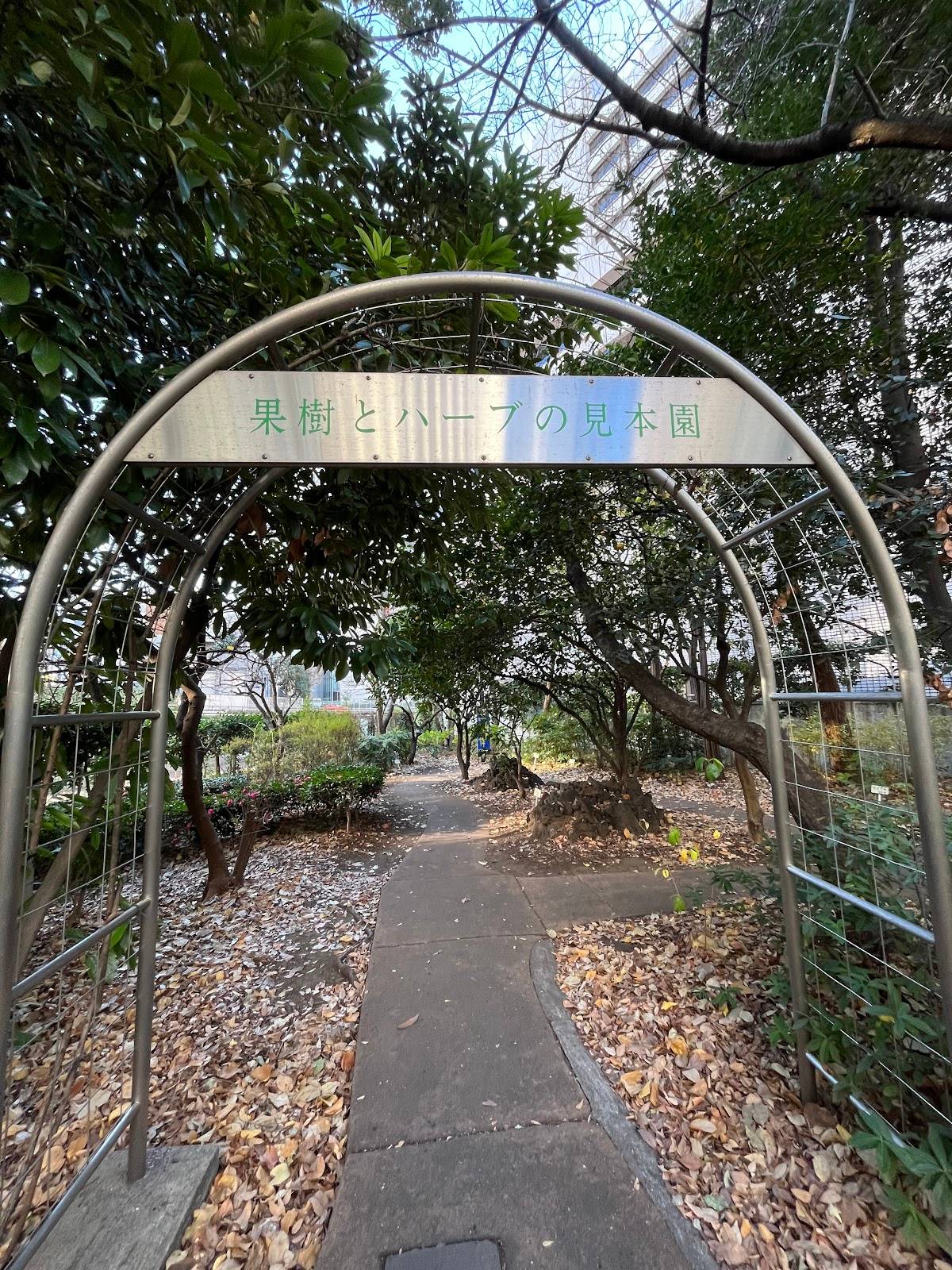 ハーブ園