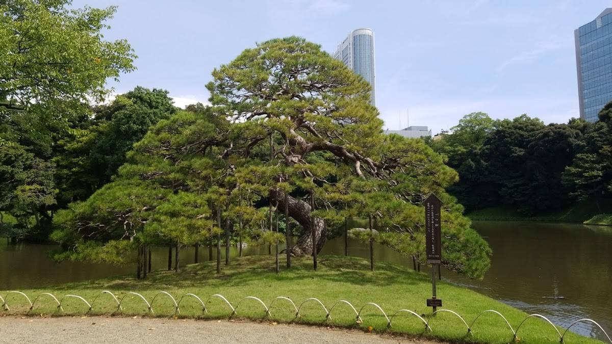 一つ松
