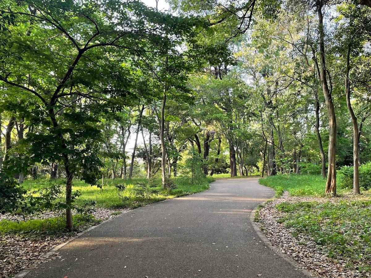 江古田の森公園 里山の樹林
