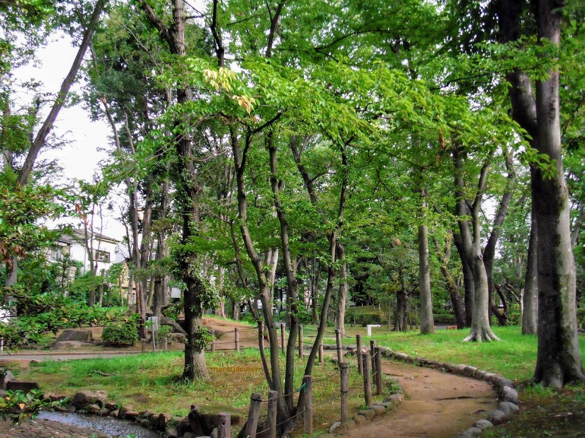 Why Sangenjaya Is Tokyo's Best-Kept Secret