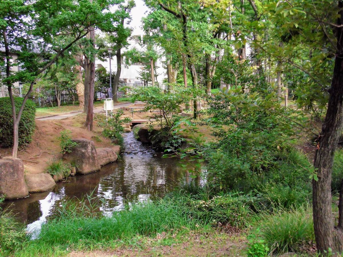 樹木園