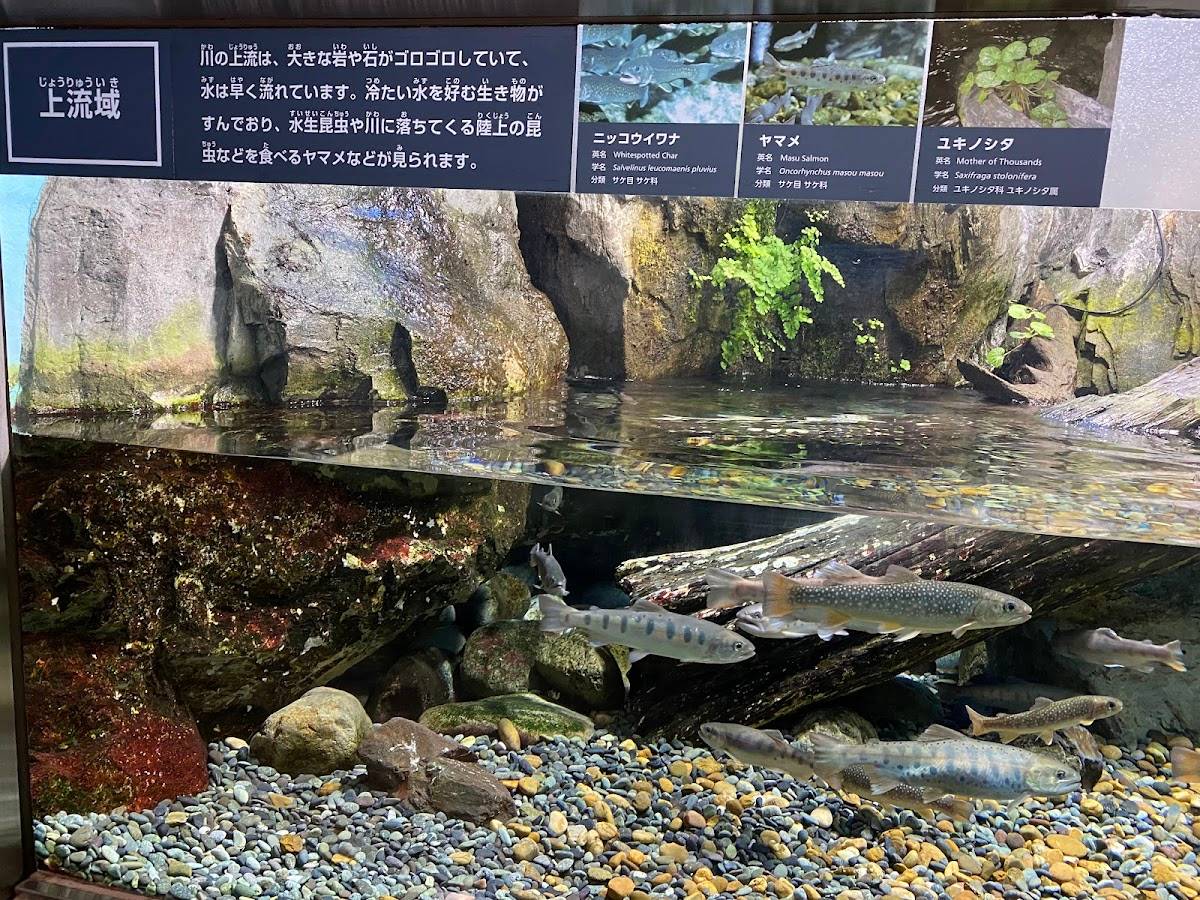 Aquatic Life House