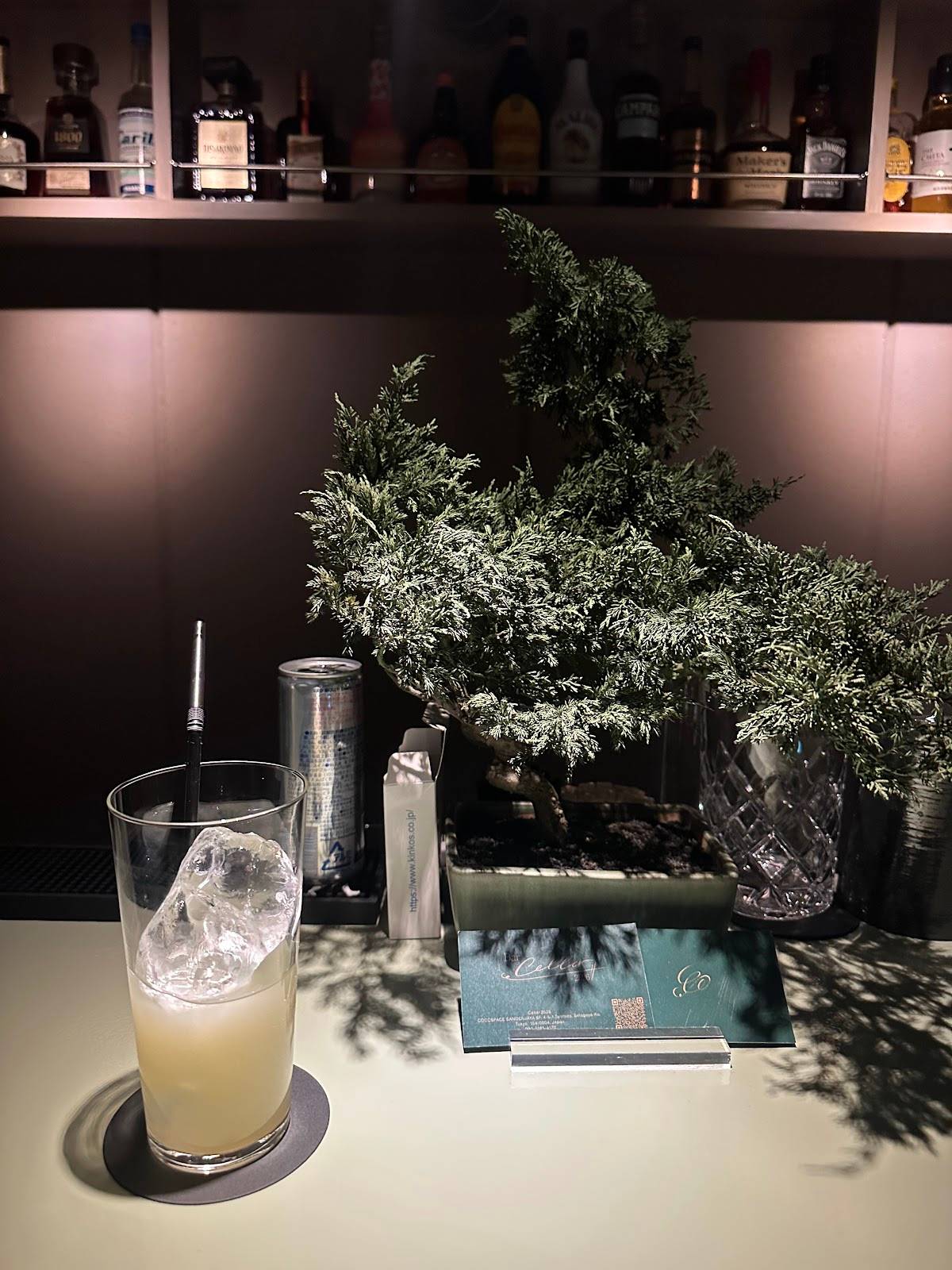 Bar .Cellar 2526