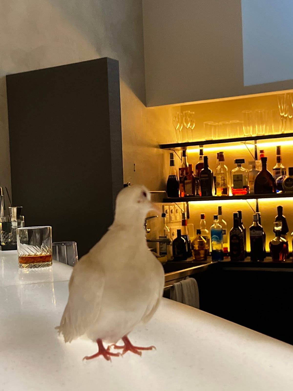 BAR21｜Tokyo Magic Show Bar & Cocktails