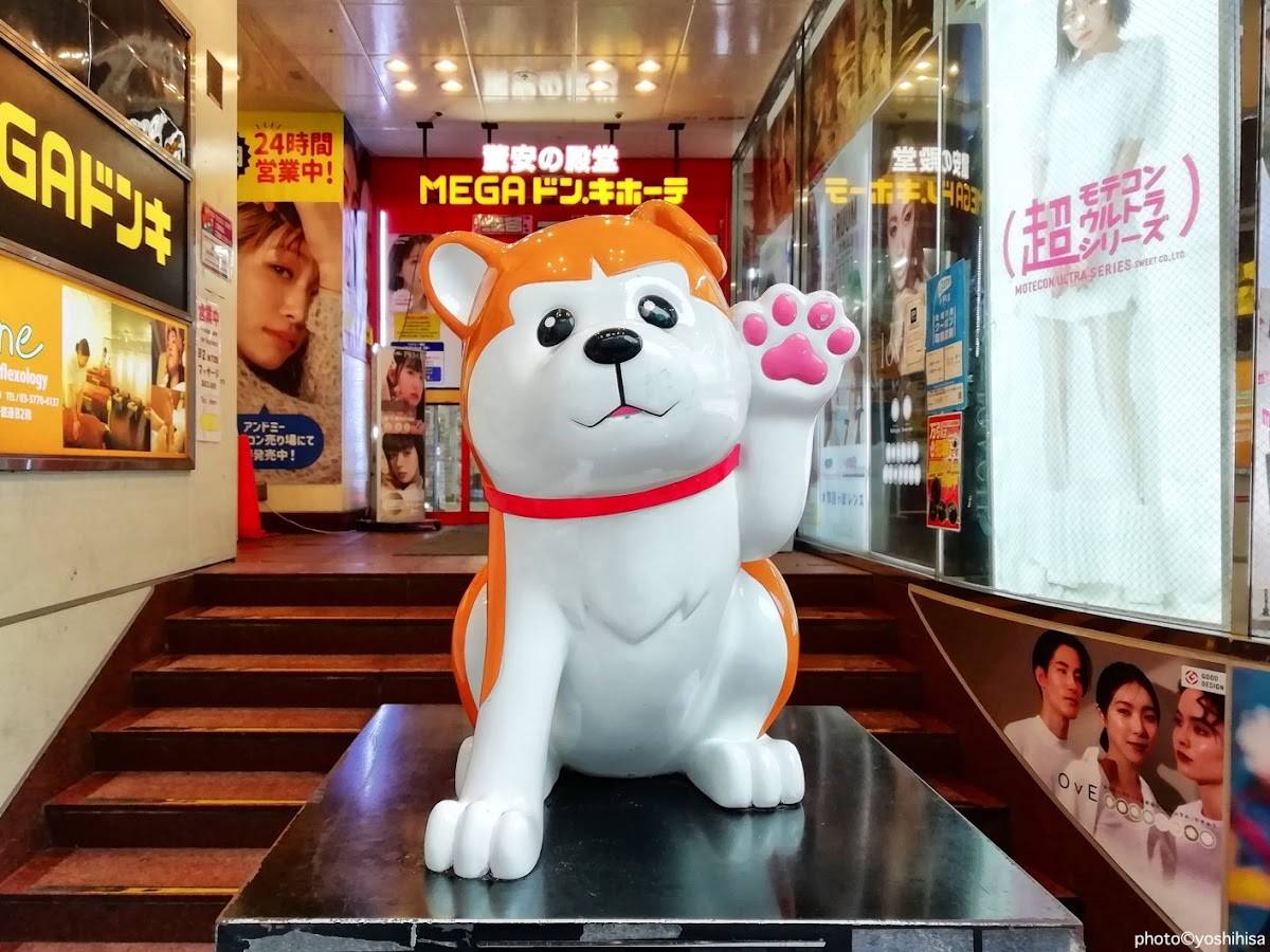 Beckoning HACHI