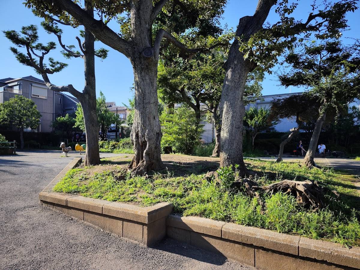Donguri Hiroba Park