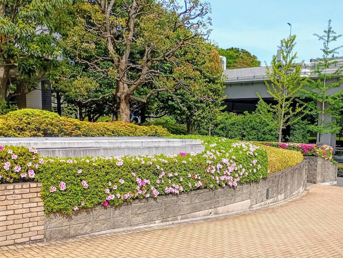 Evergreen Garden