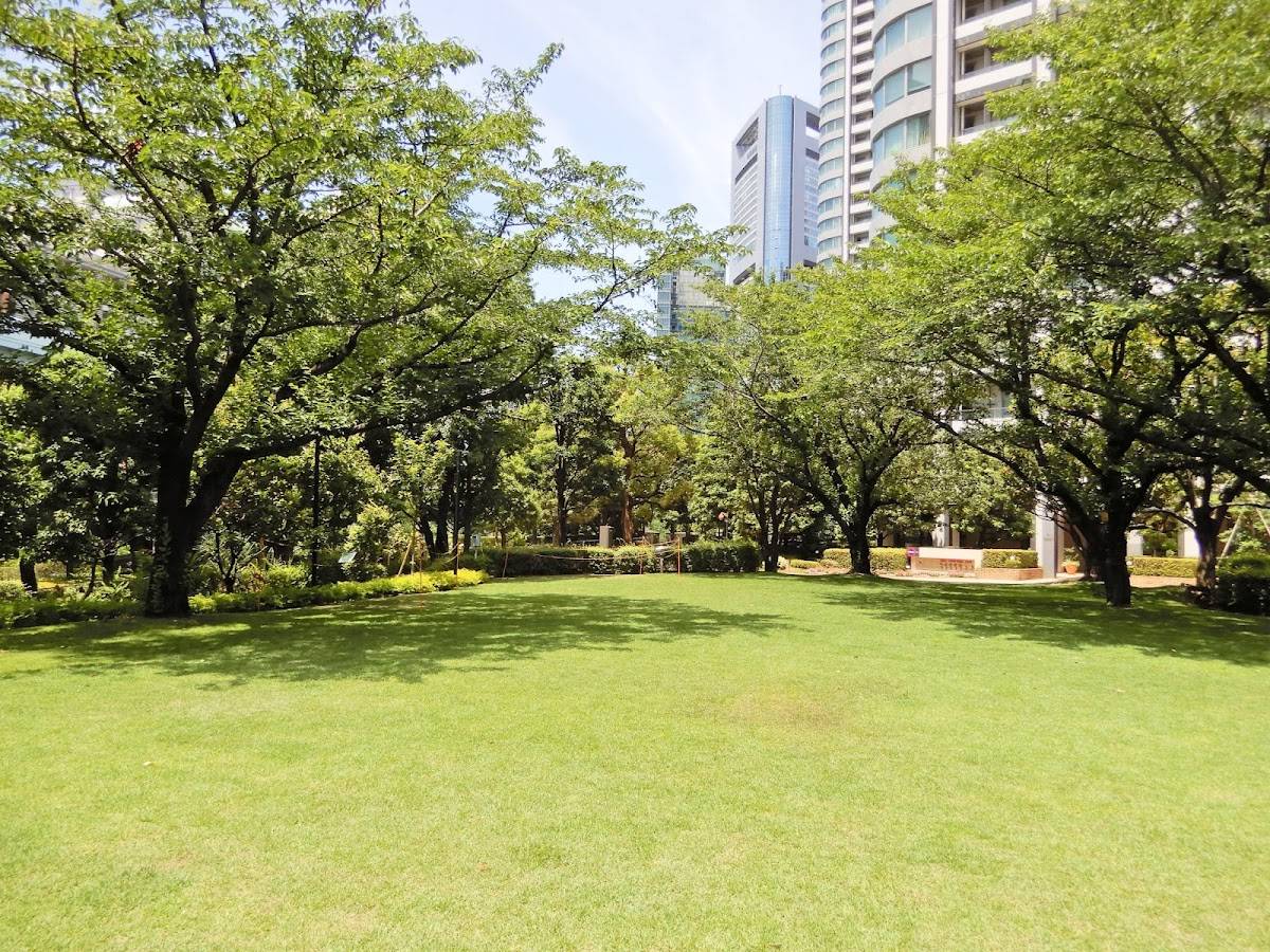 Evergreen Garden