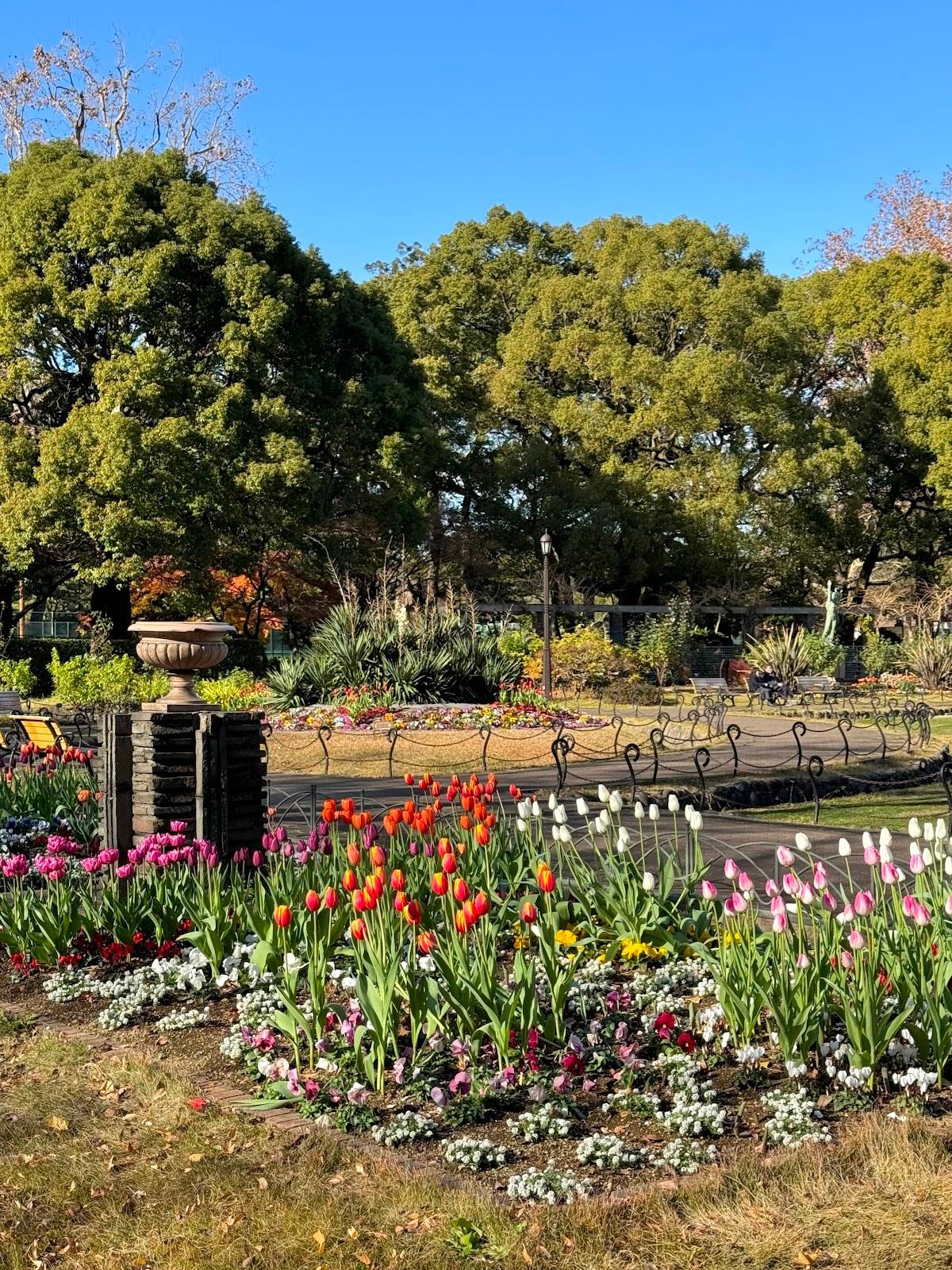 Flowerbed 1