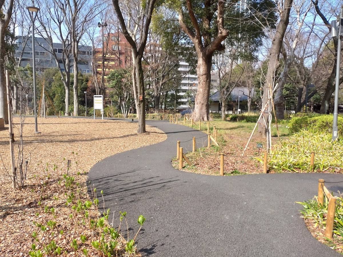 Forest View