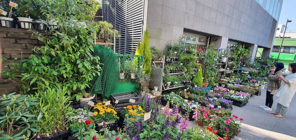 Gardening Stage