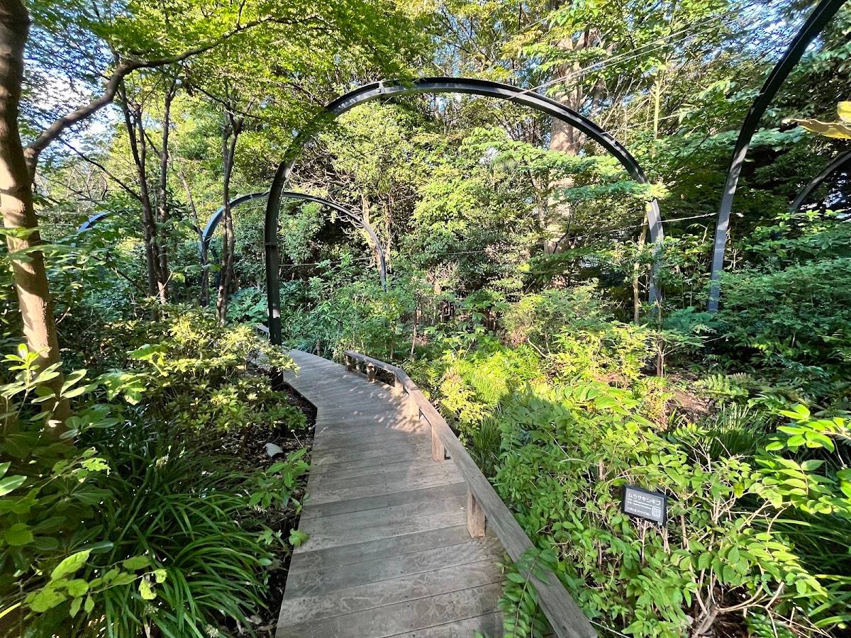 Hikari no Mori (Biotope Park)