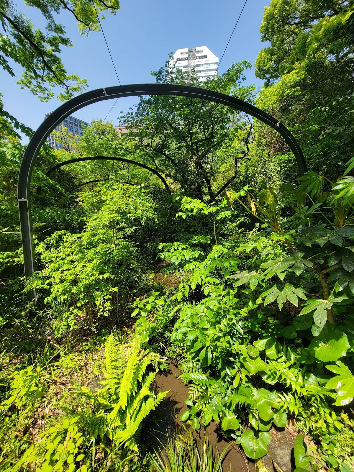 Hikari no Mori (Biotope Park)