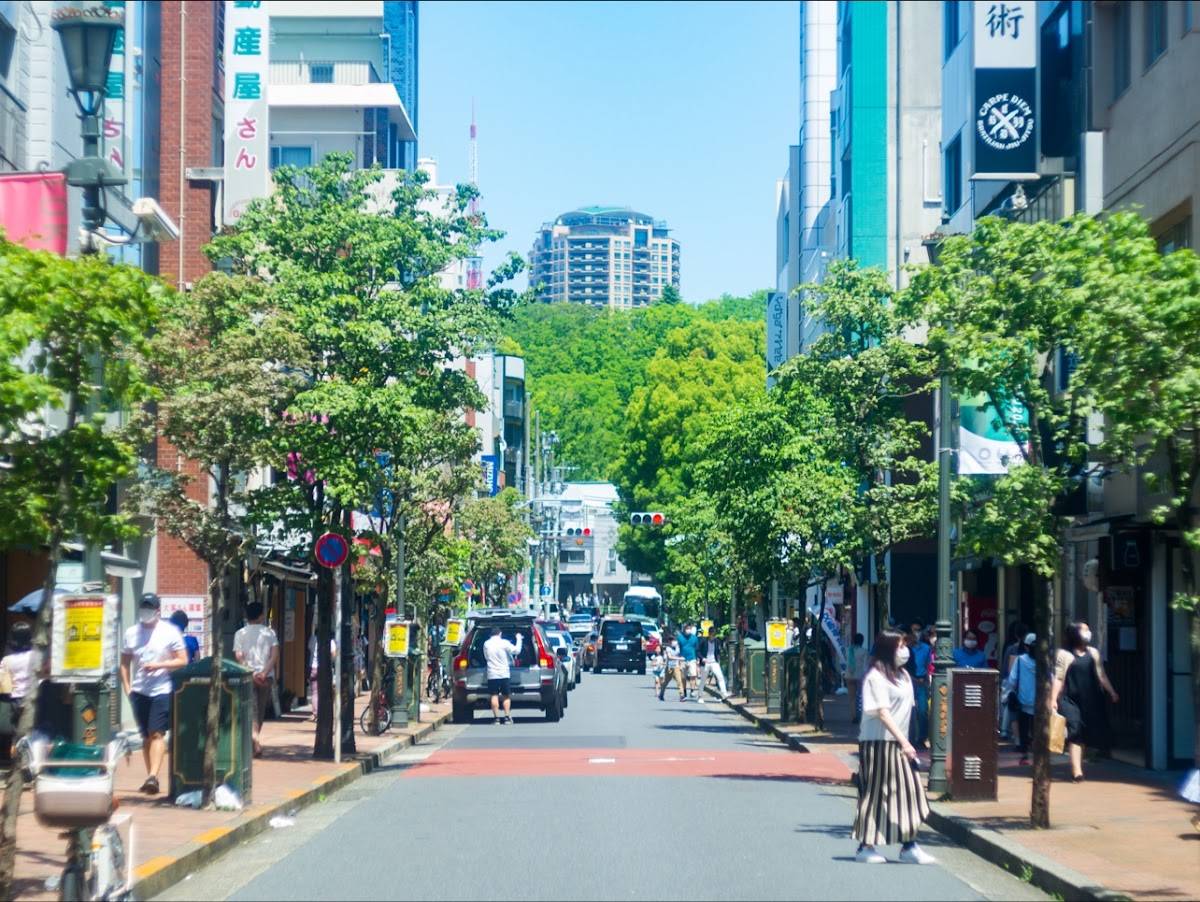 Hiroo Shopping Street
