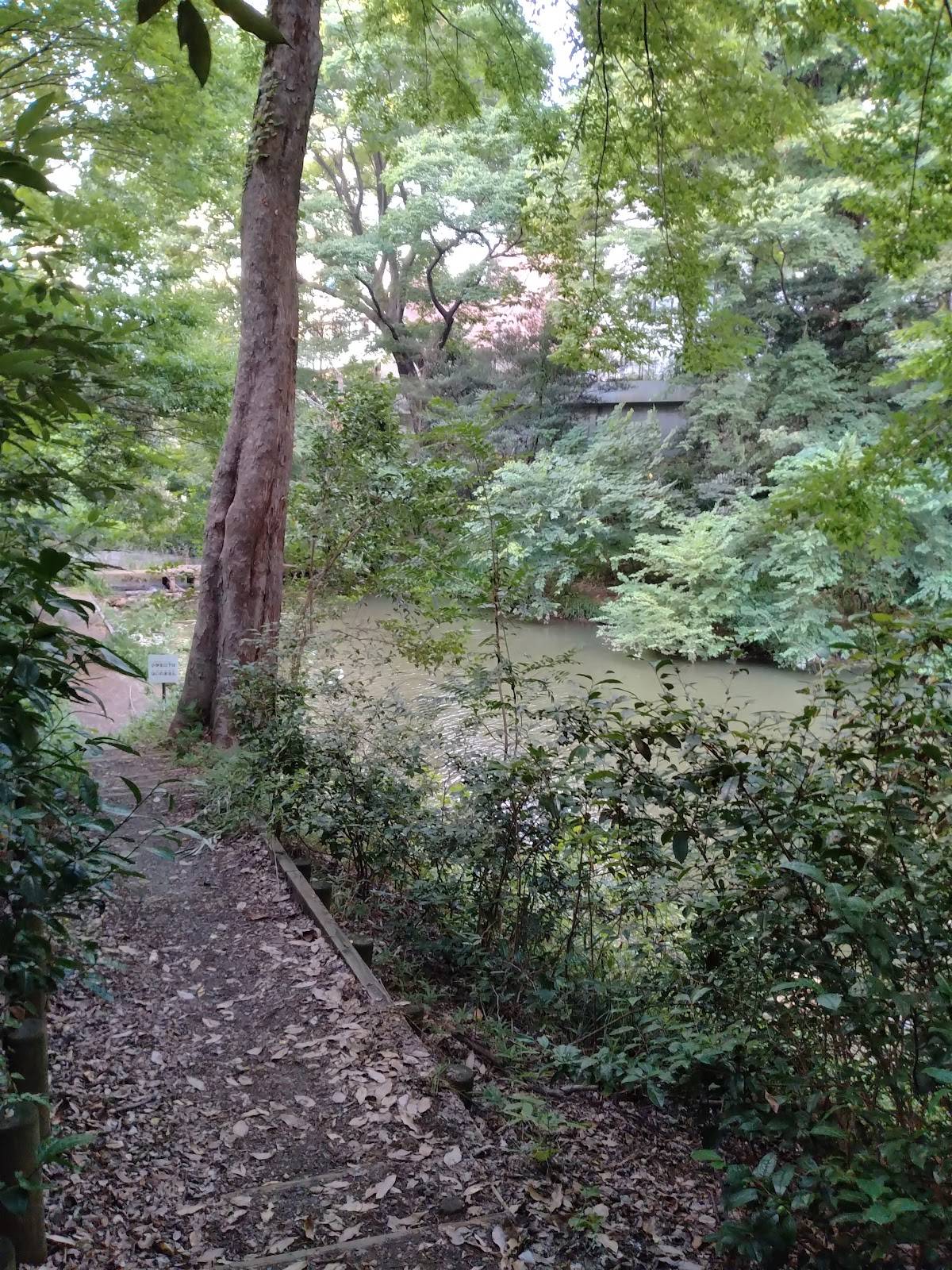 Ichiniro Pond