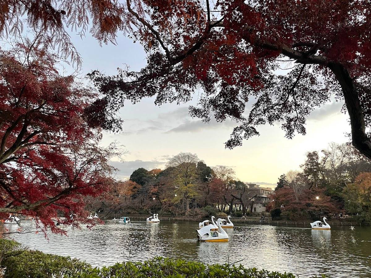 Inokashira Park Daini Park