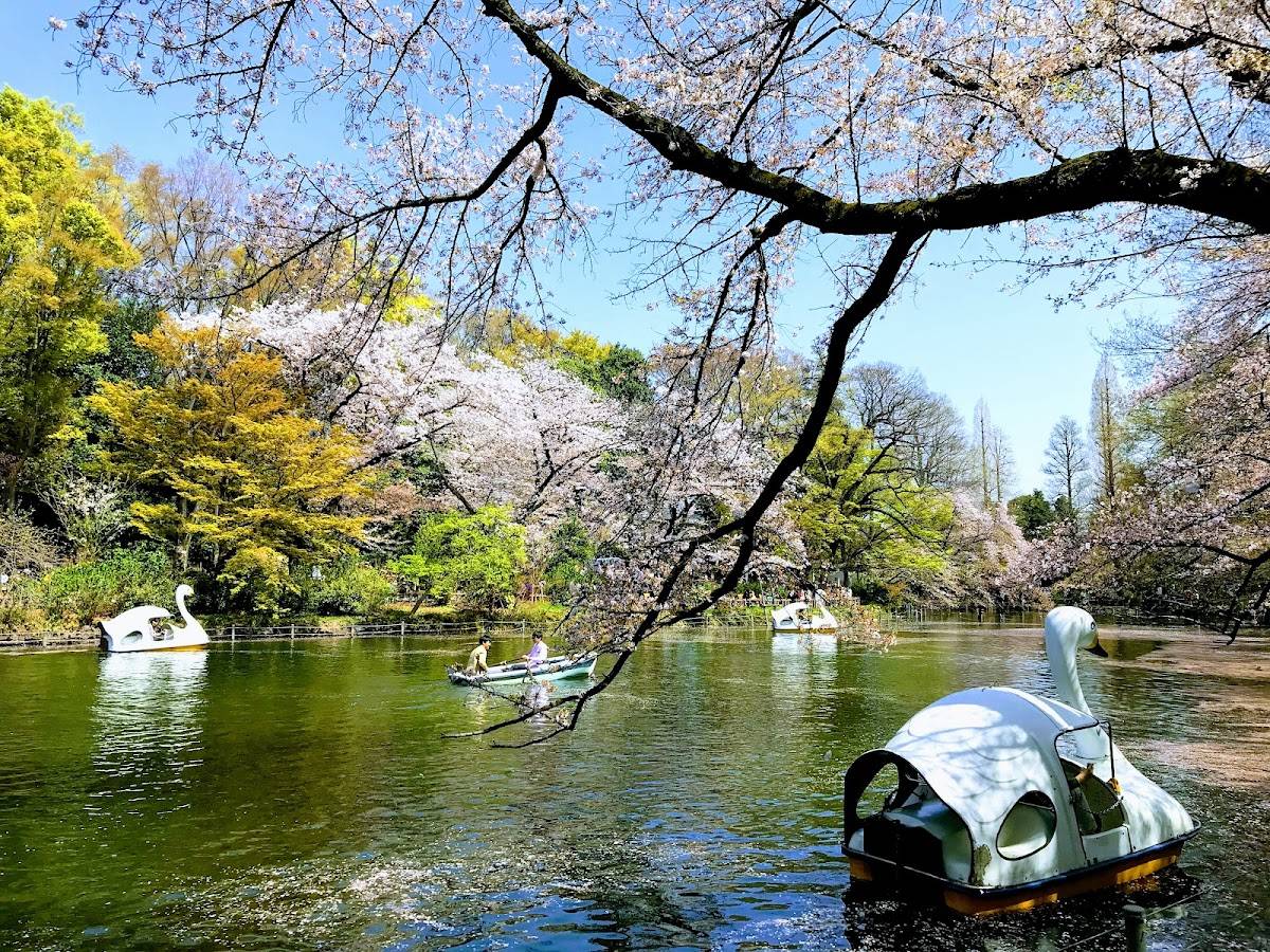 Inokashira Park Information Center