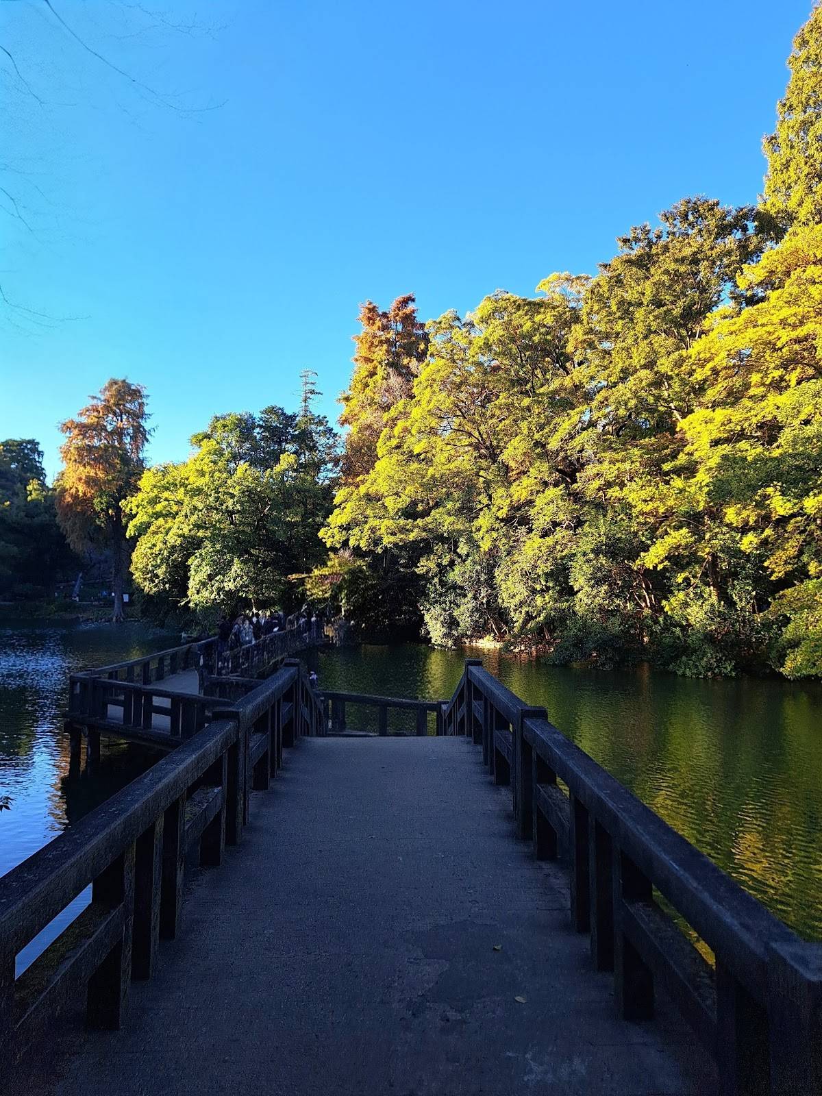 Inokashiraonshi Park