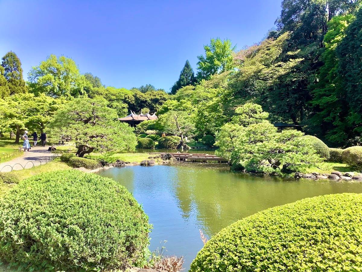 Japanese Garden