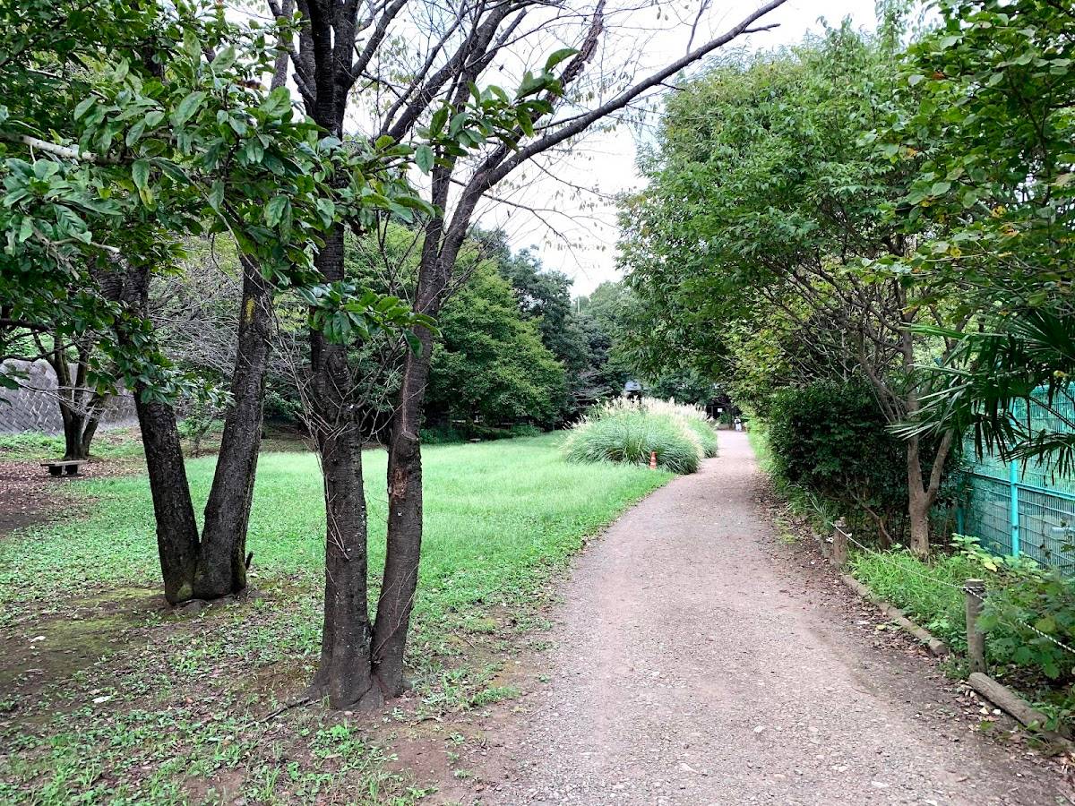 Jindai temple nature reserve