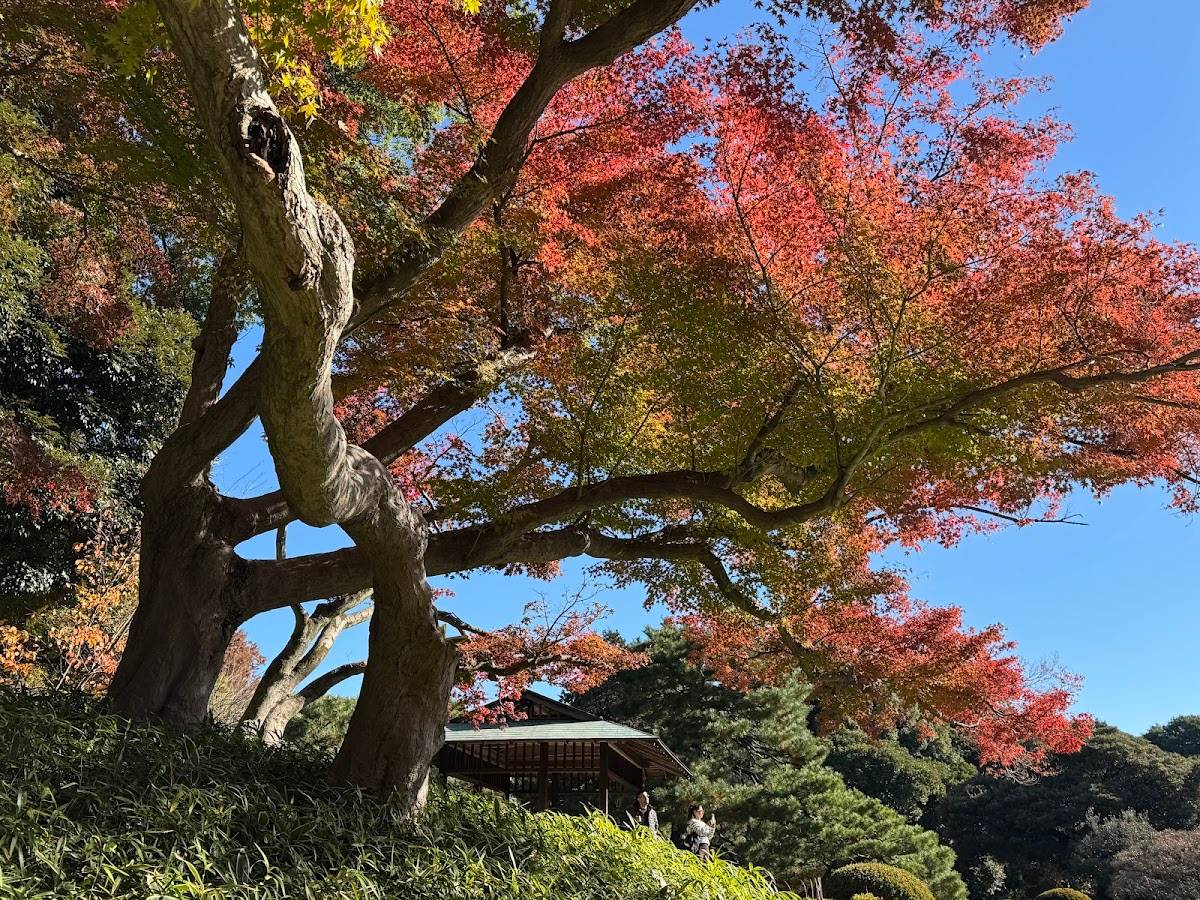 Kami-no-ike Pond