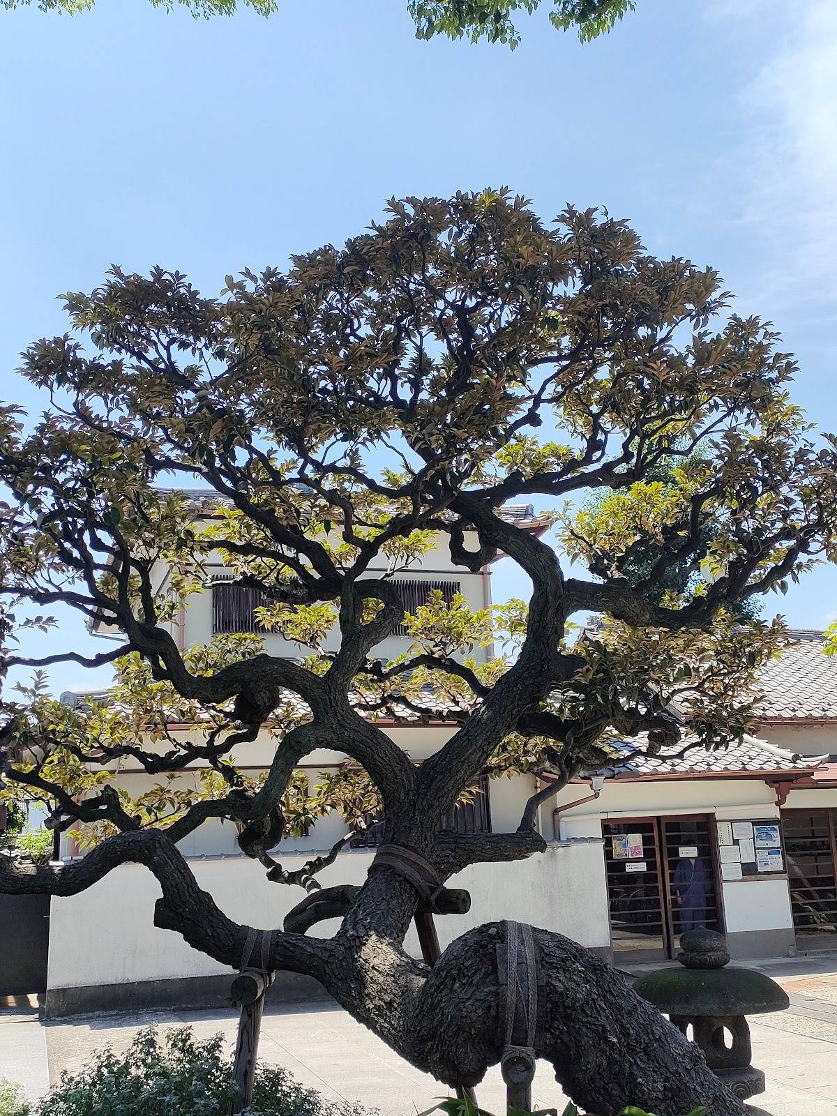 Kannon-ji