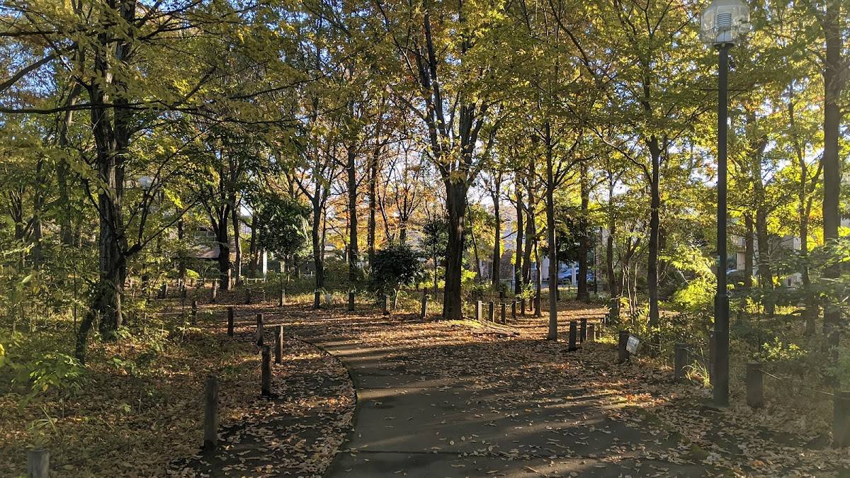 Kashiwanomiya Park