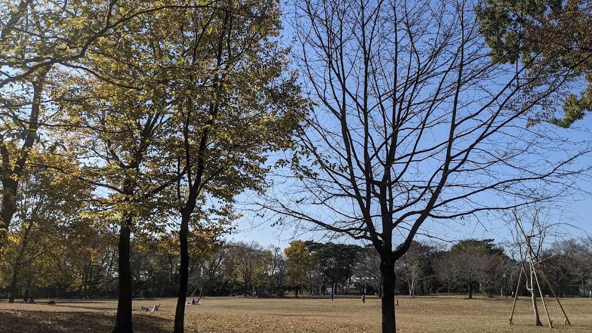 Kashiwanomiya Park
