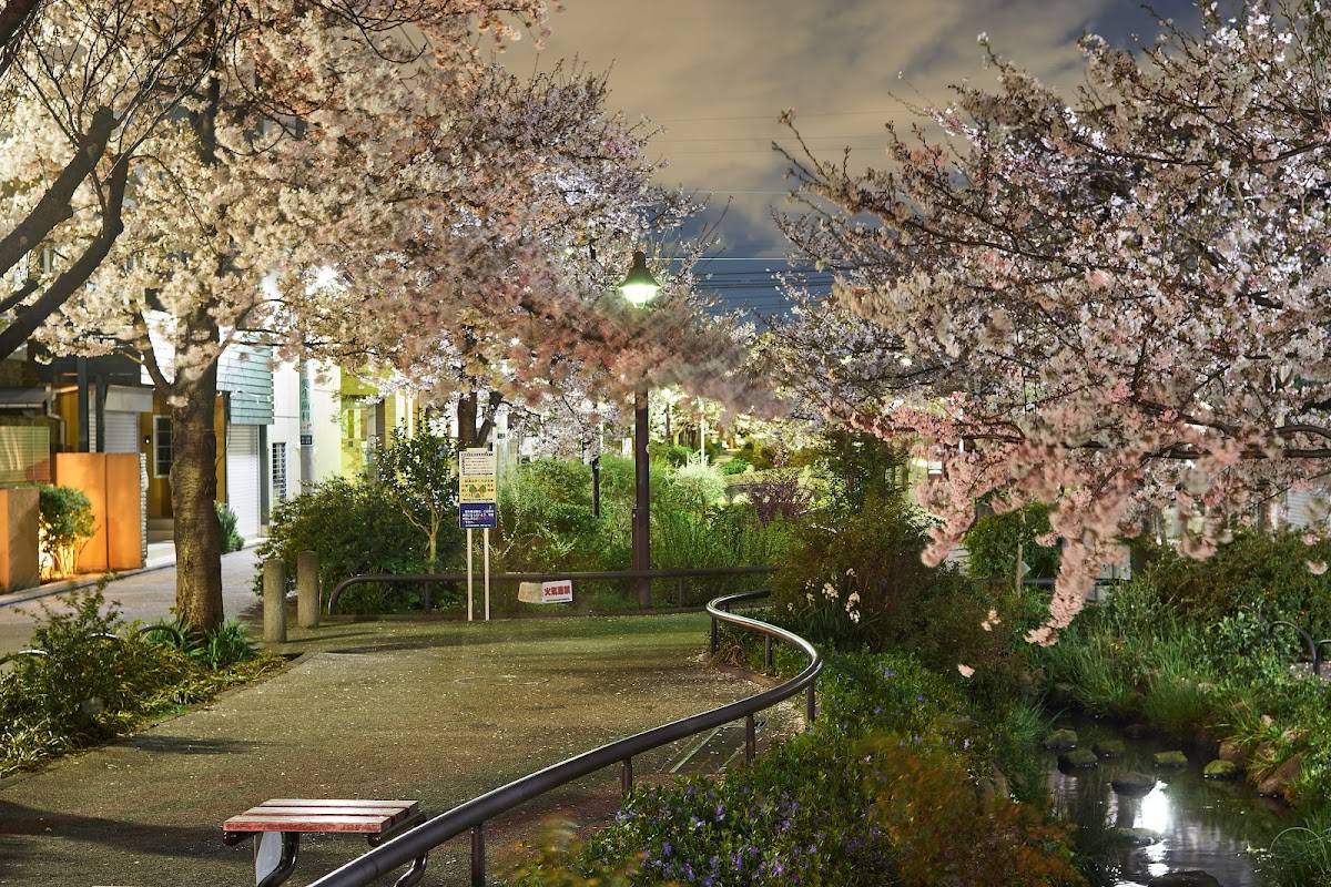 Kitazawa River Green Way