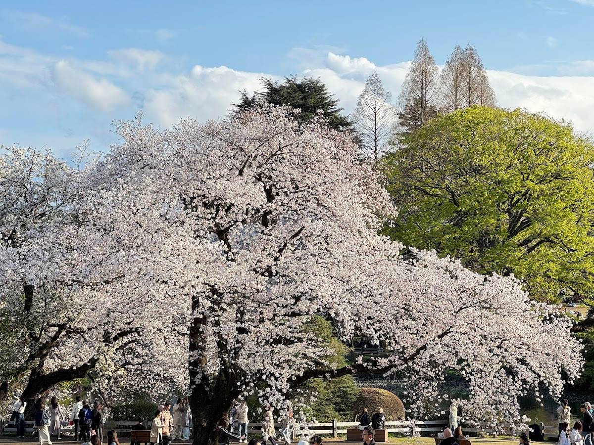 Landscape Garden