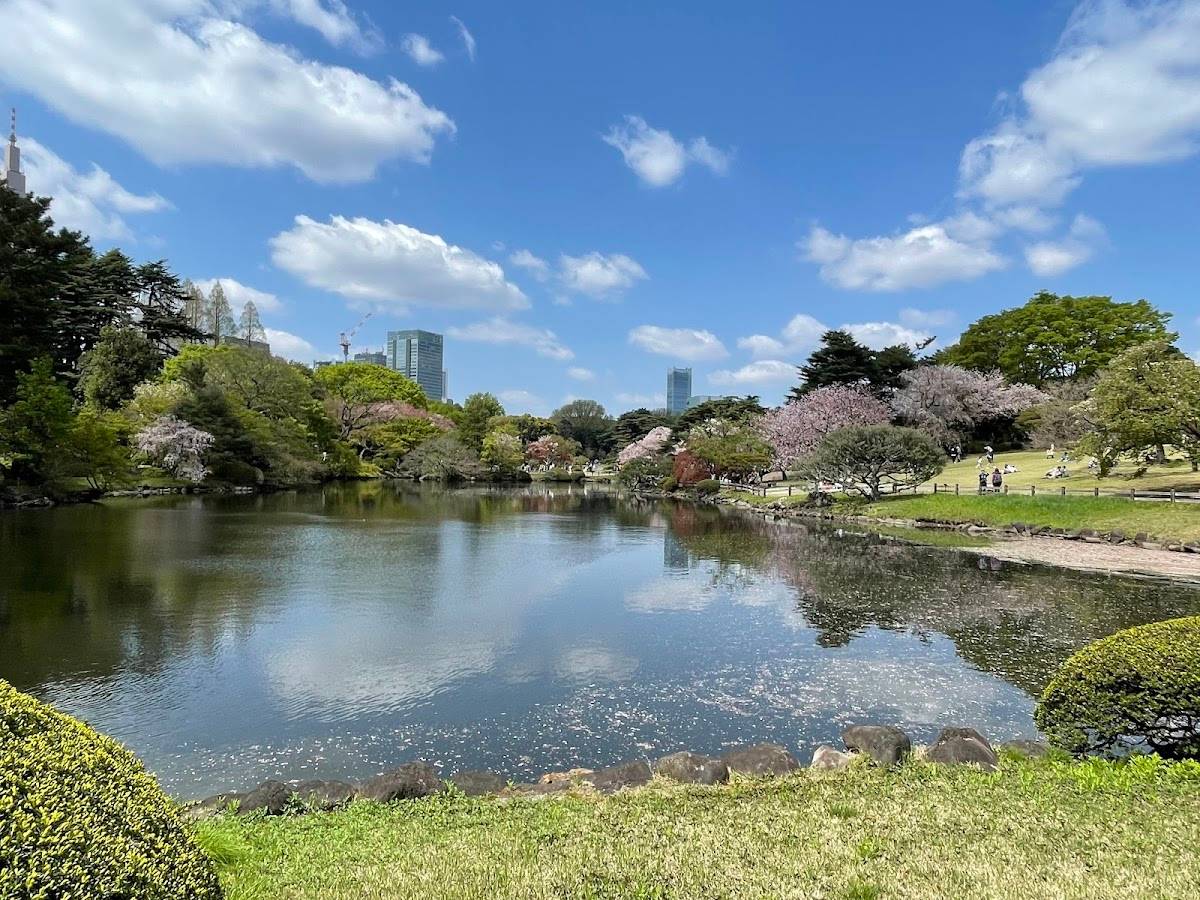 Landscape Garden