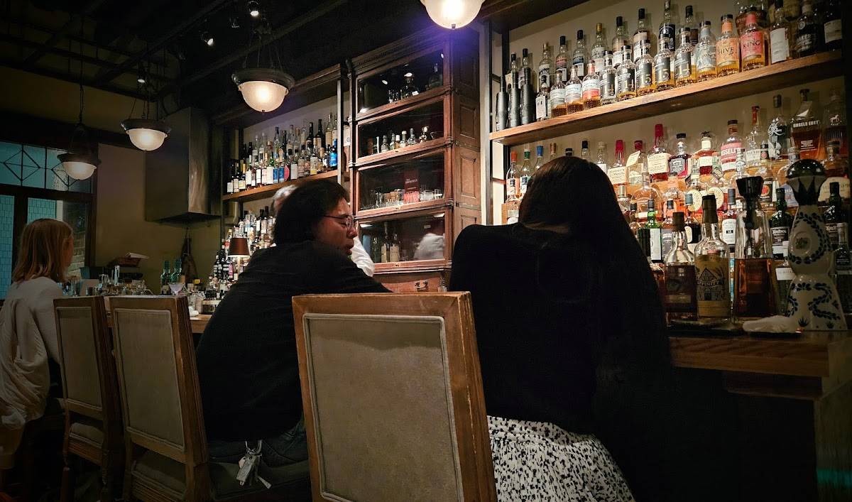 LEAP BAR