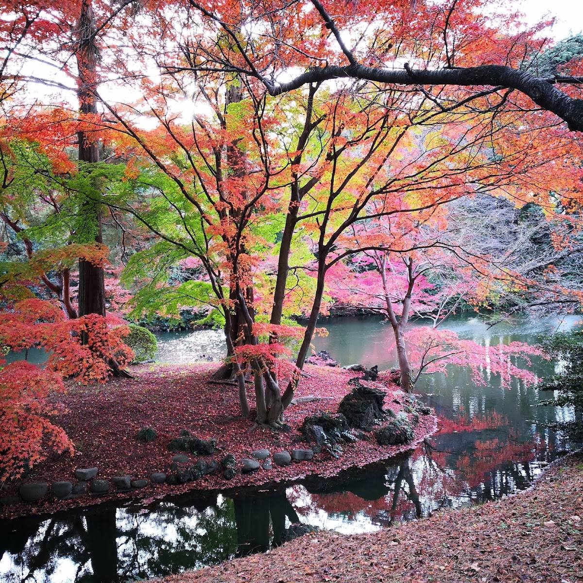 Lower Pond