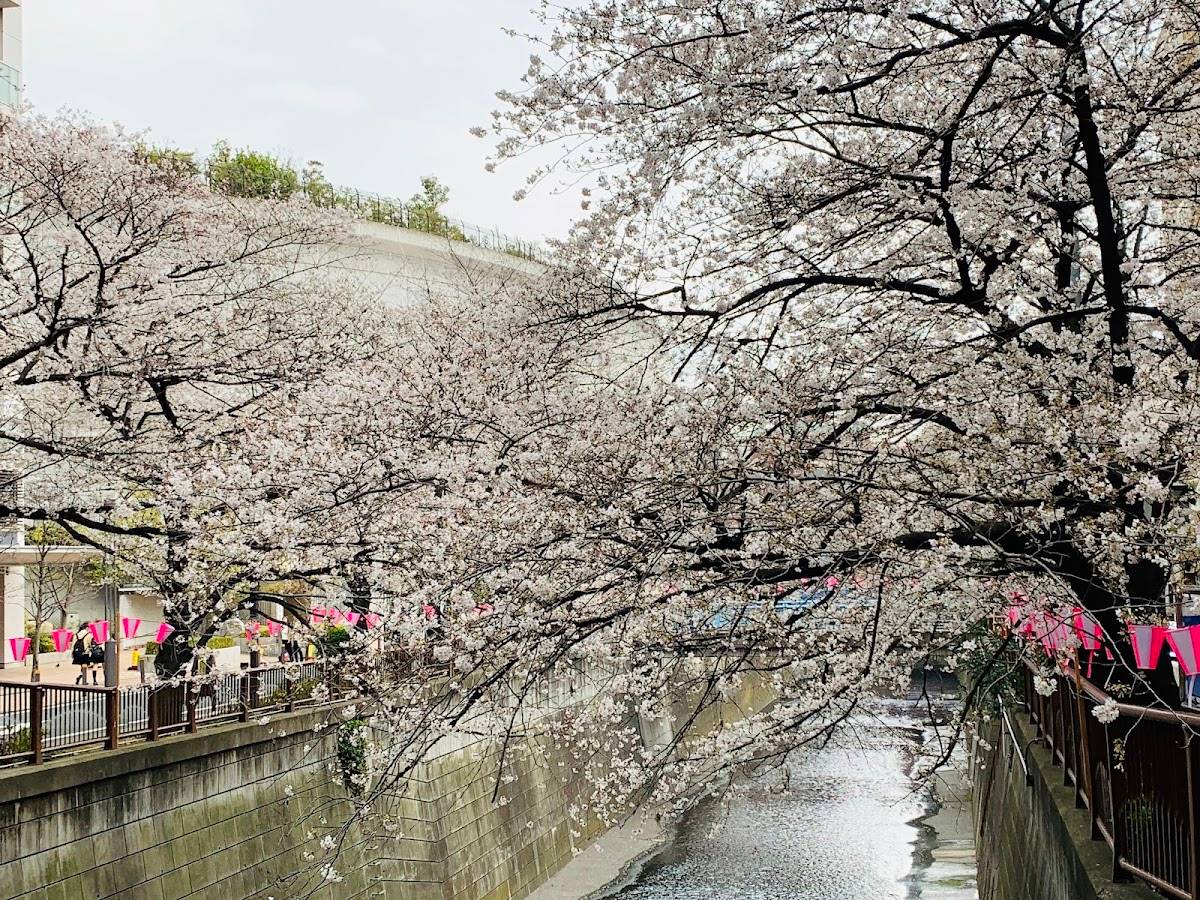 Meguro River Green Belt