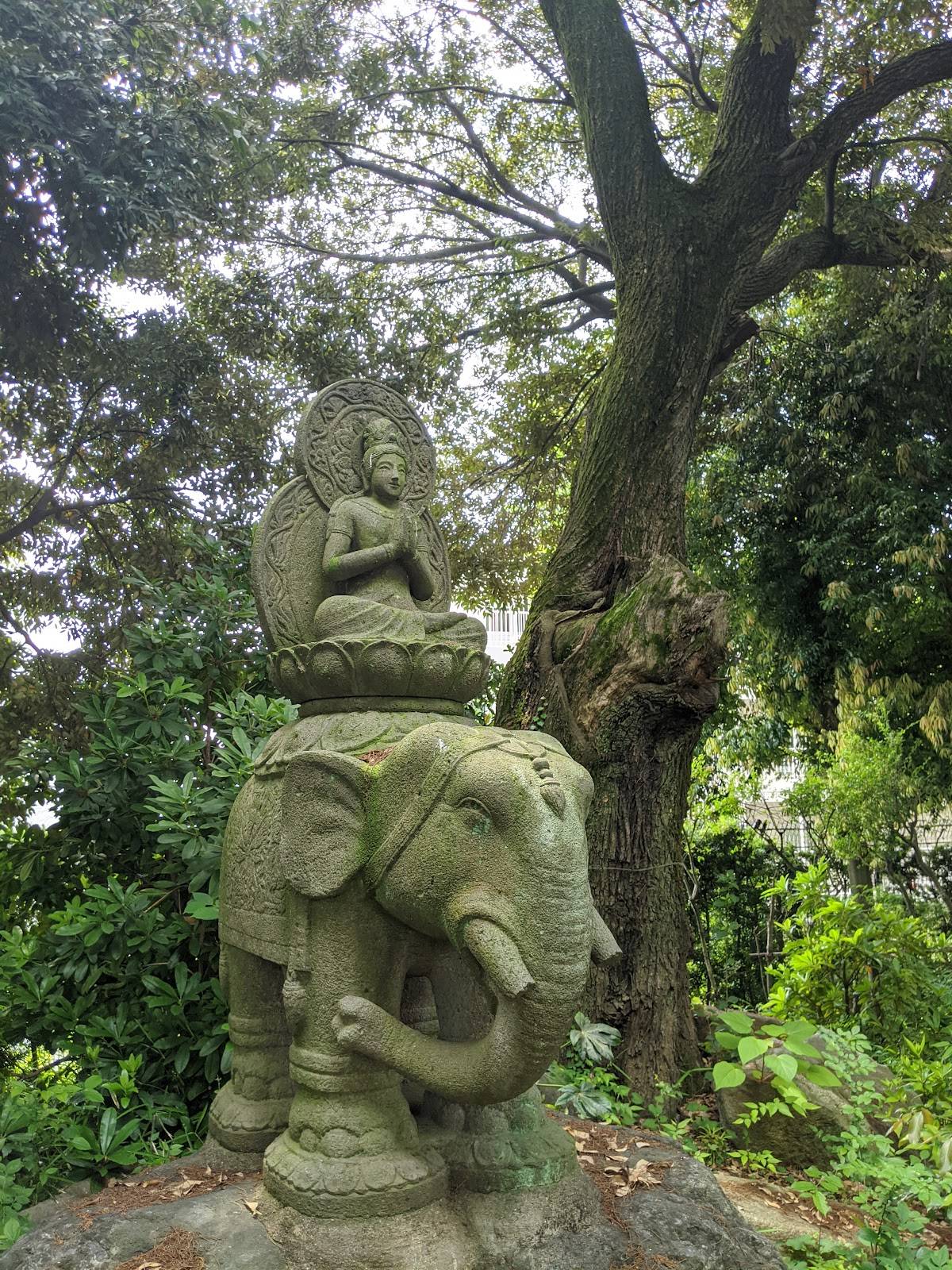 Mishuku-no-Mori Greenspace