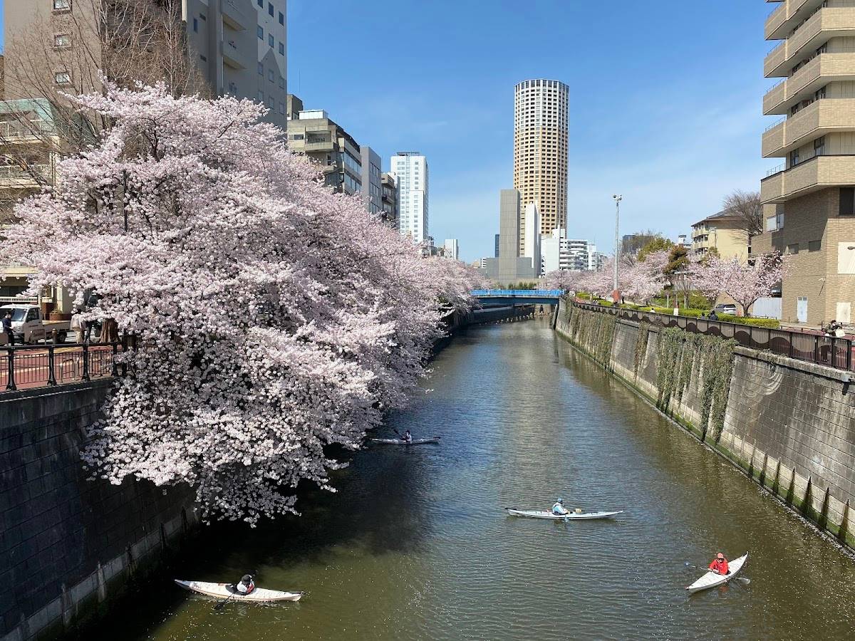 Nakame Park Bridge
