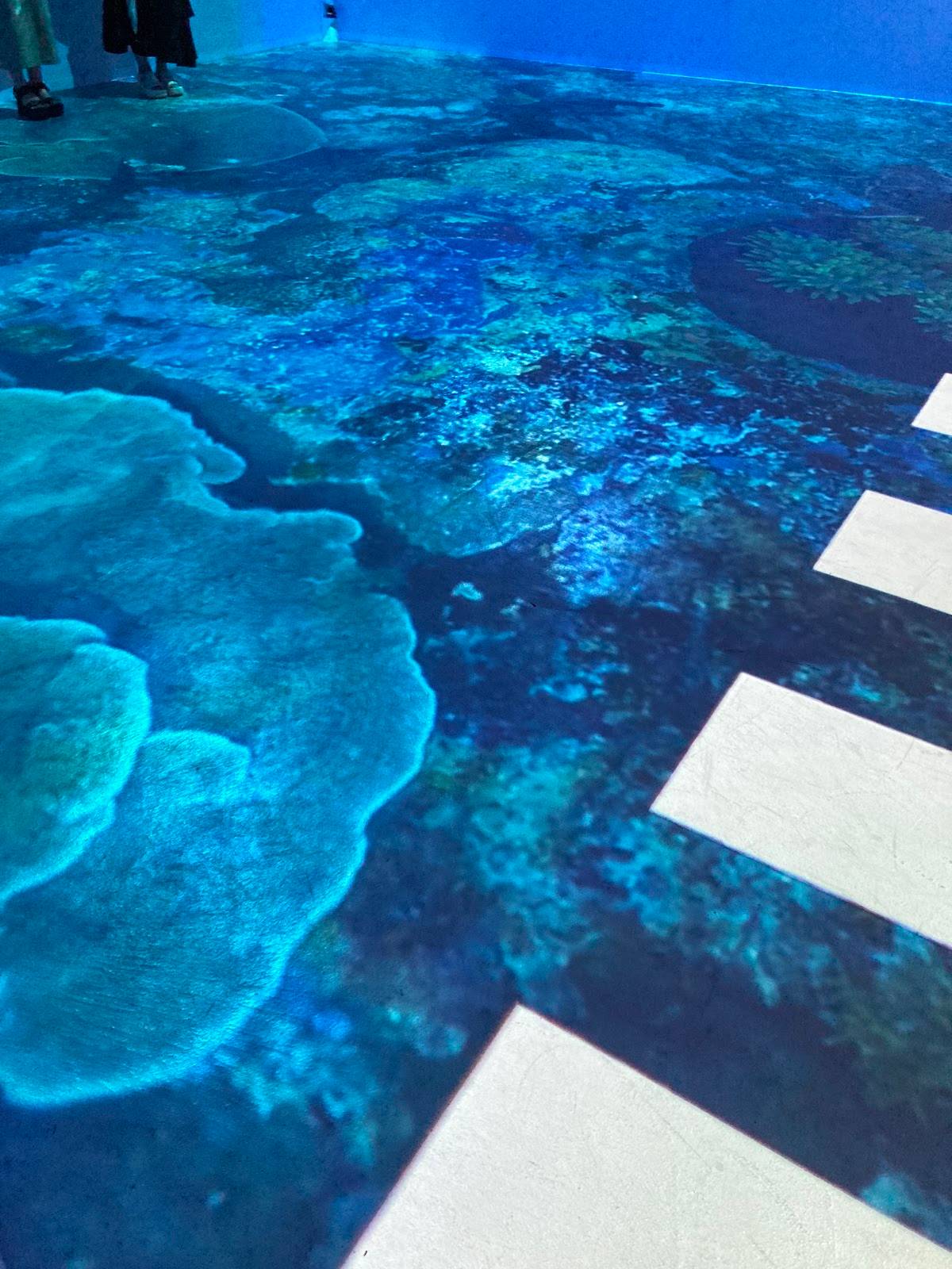 NATURE CROSSING GALLERY