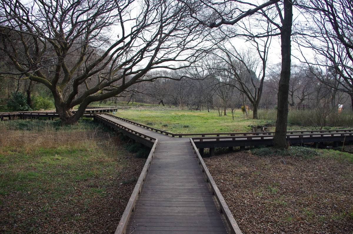 Nature Observation Garden