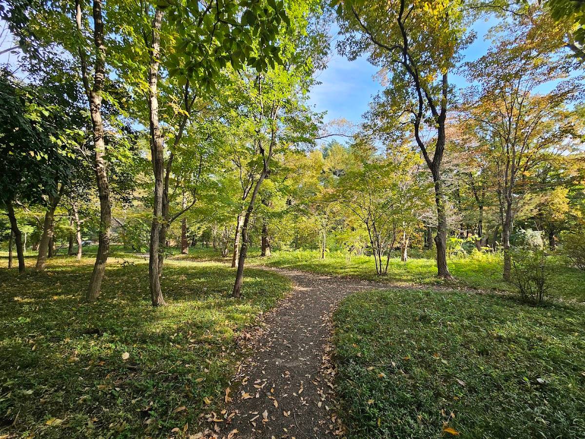 Ninomaru Grove