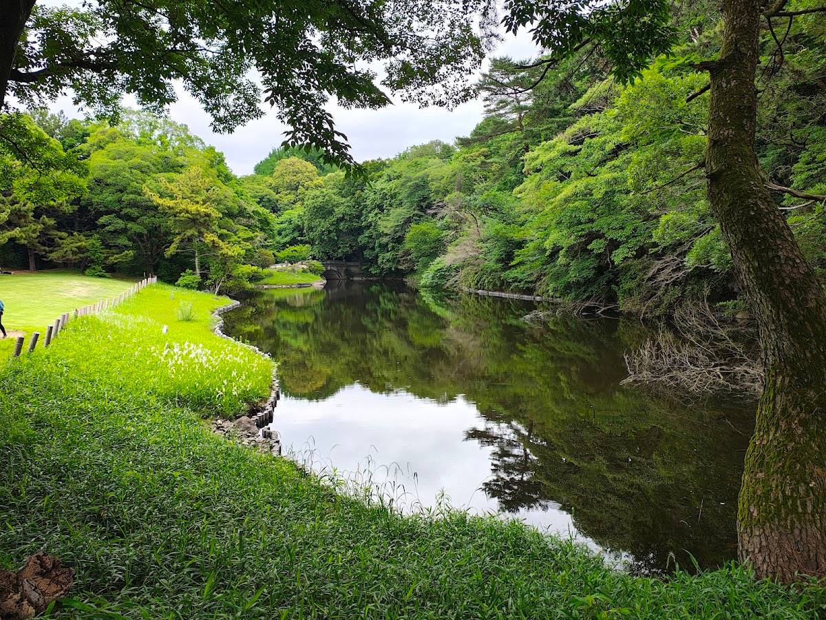 North Pond