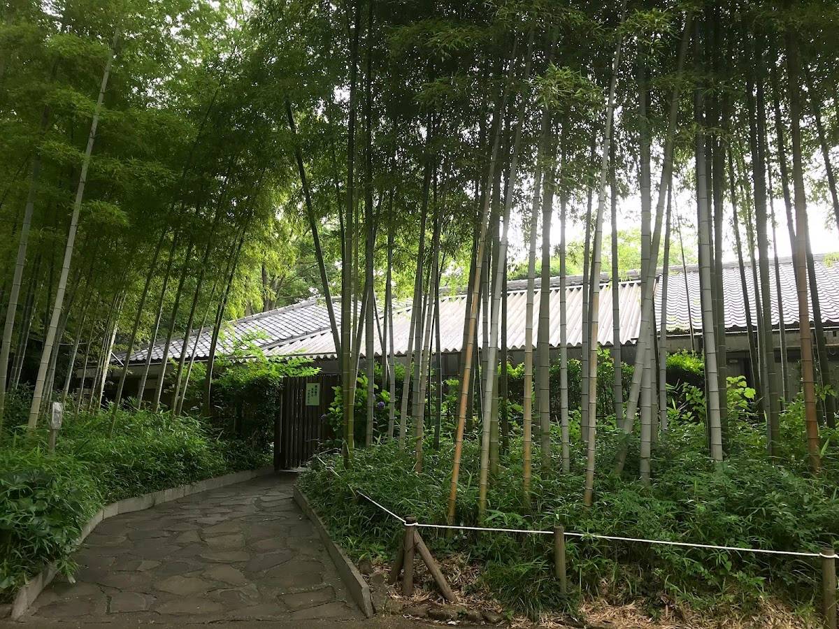 Okamoto Park