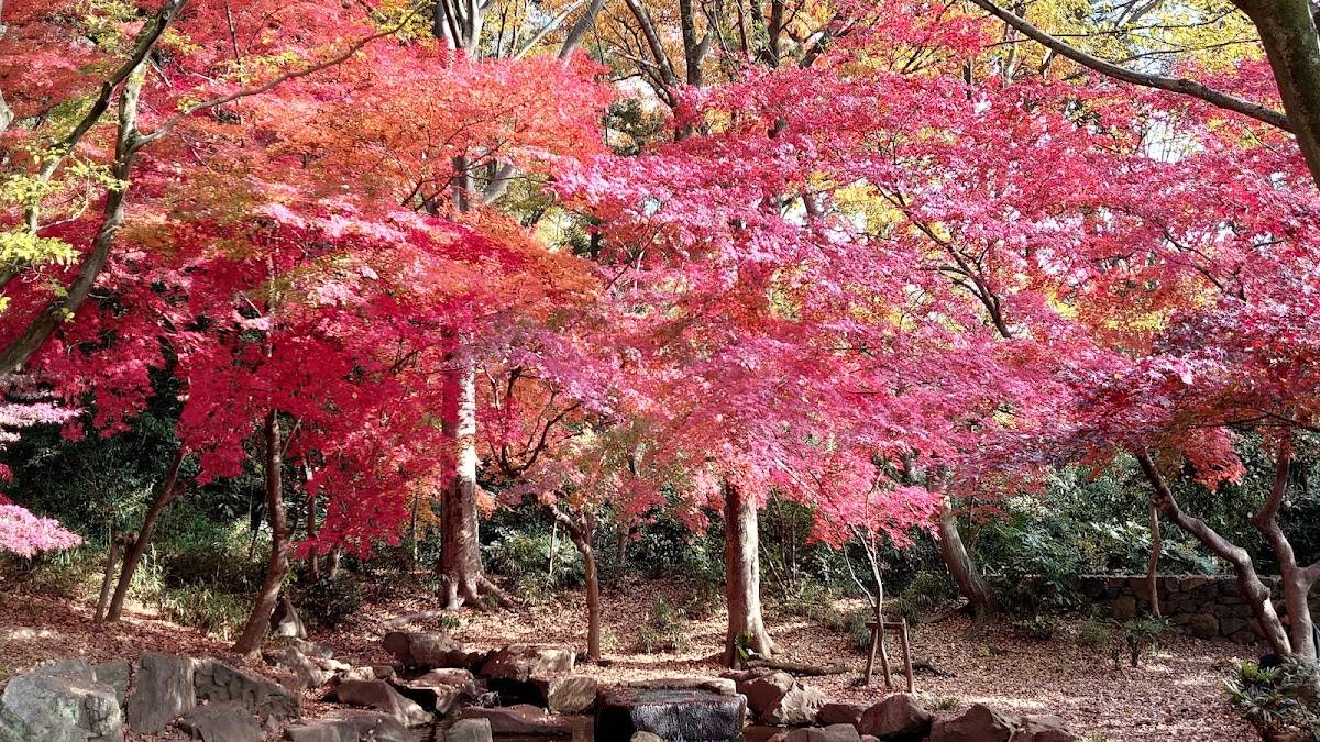 Okamoto Park
