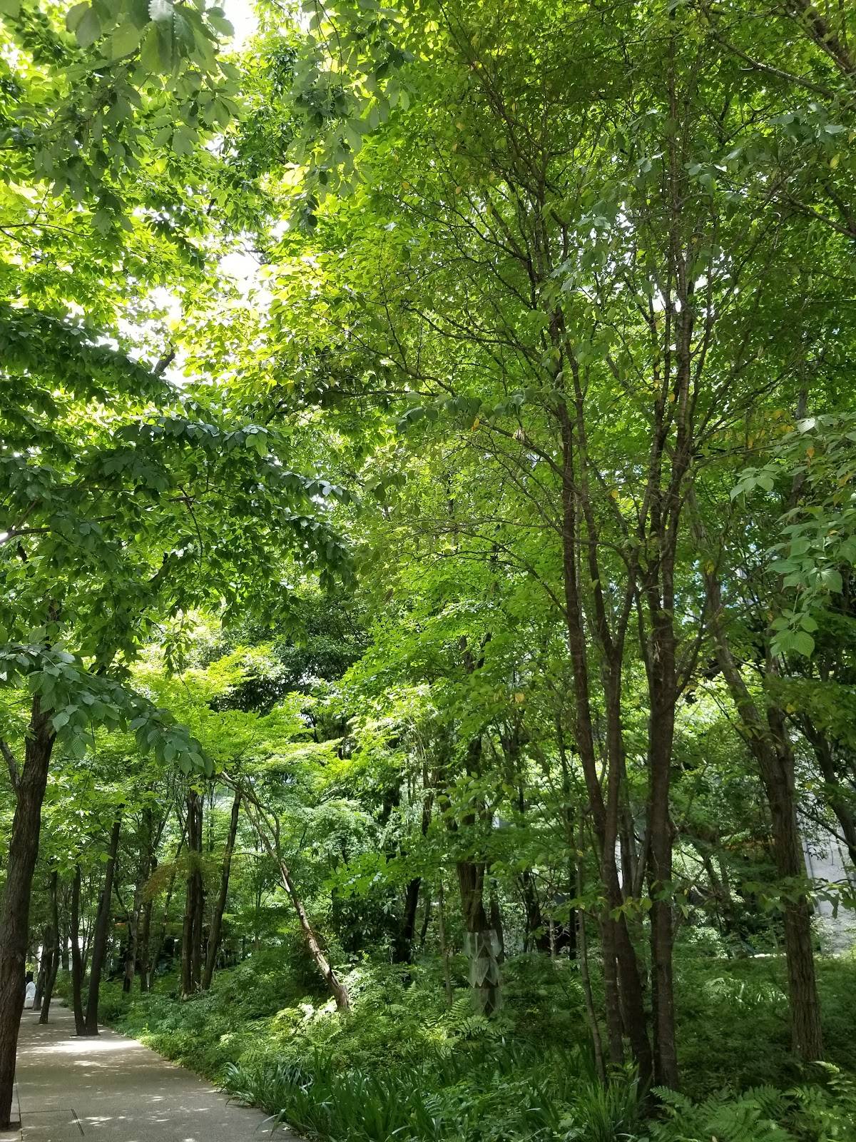 Otemachi Forest