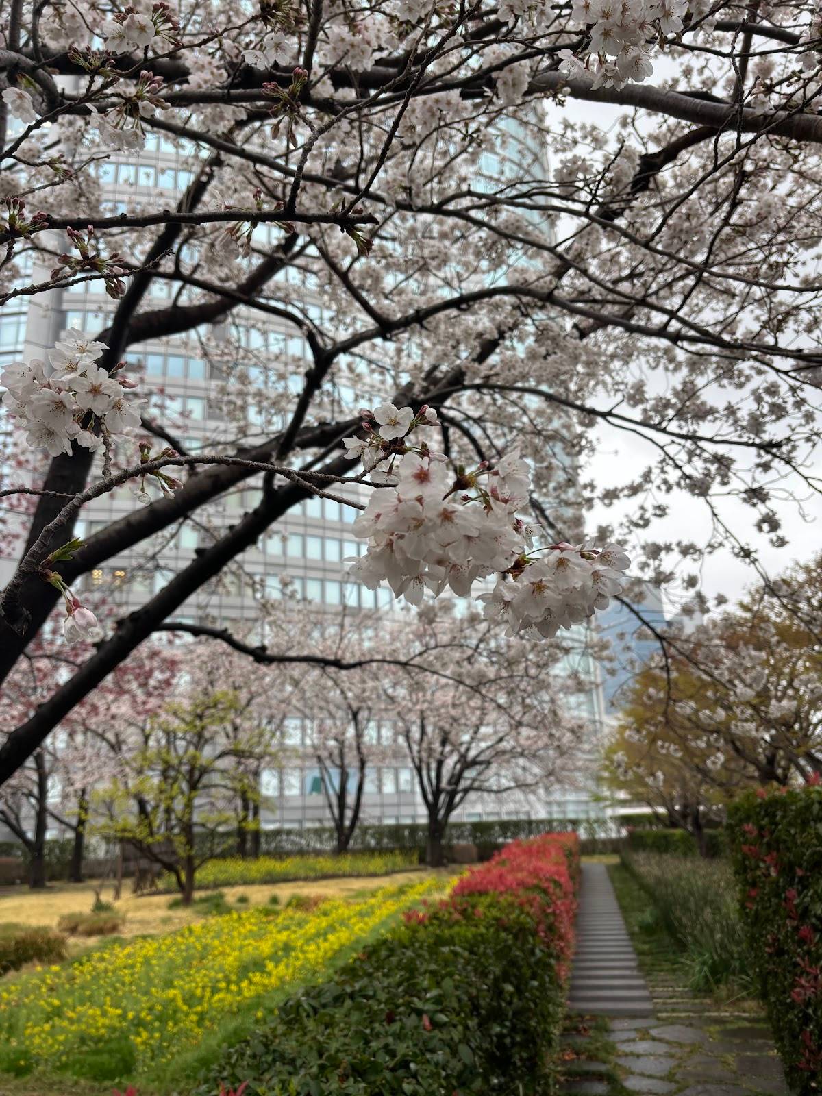 屋上庭園 Roof Garden