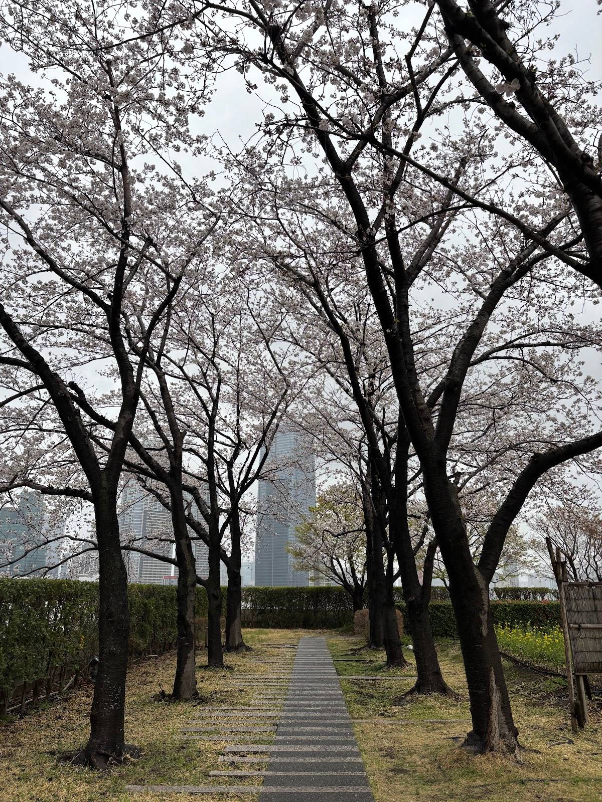 屋上庭園 Roof Garden