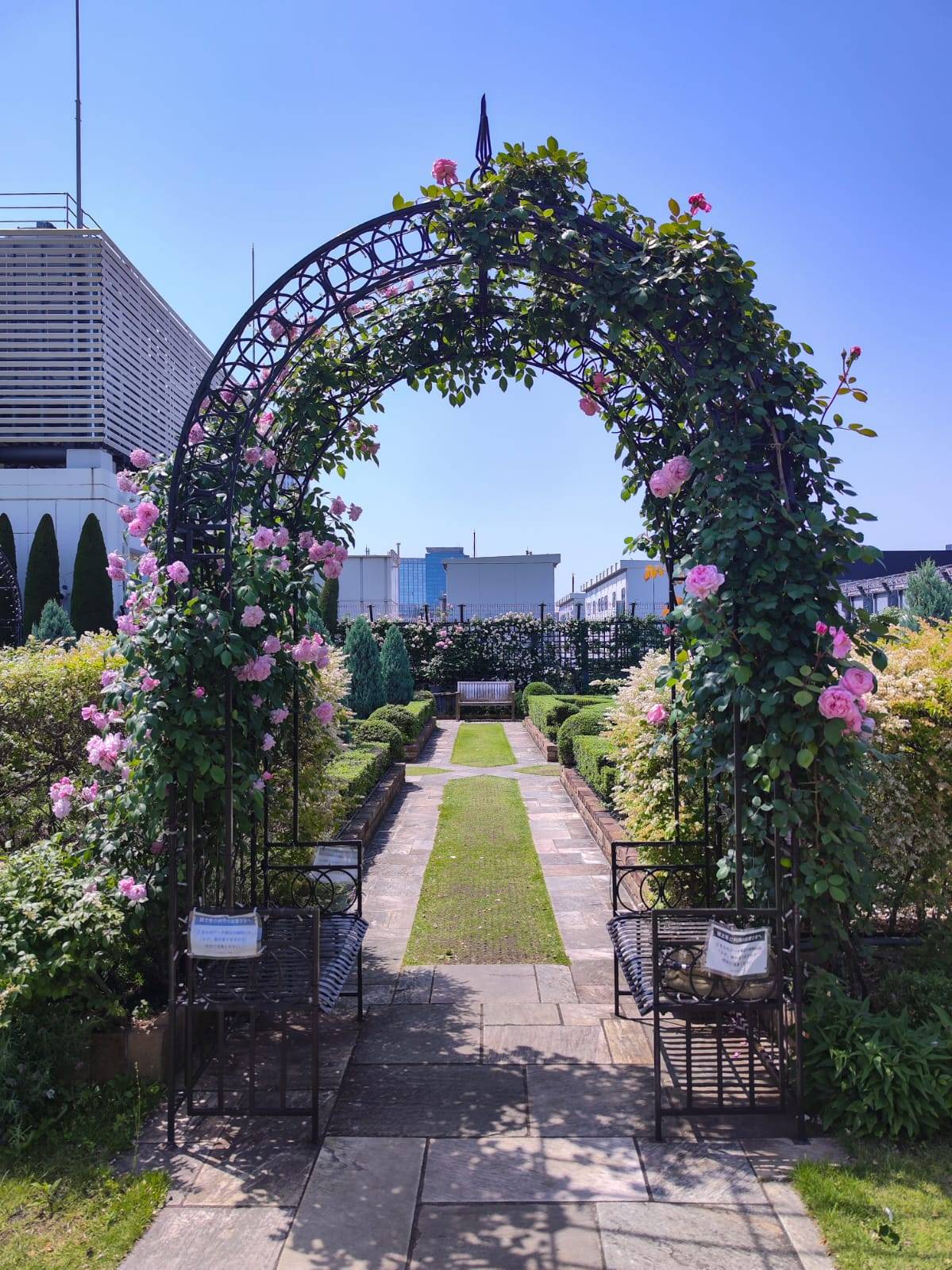 Rooftop Garden Q-court