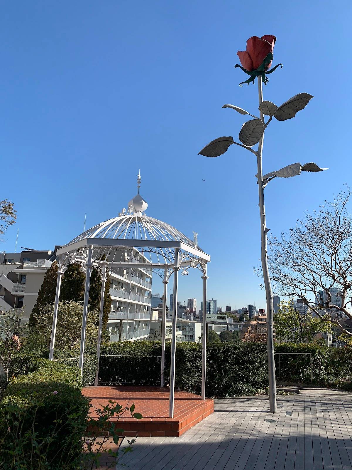ROSE GARDEN