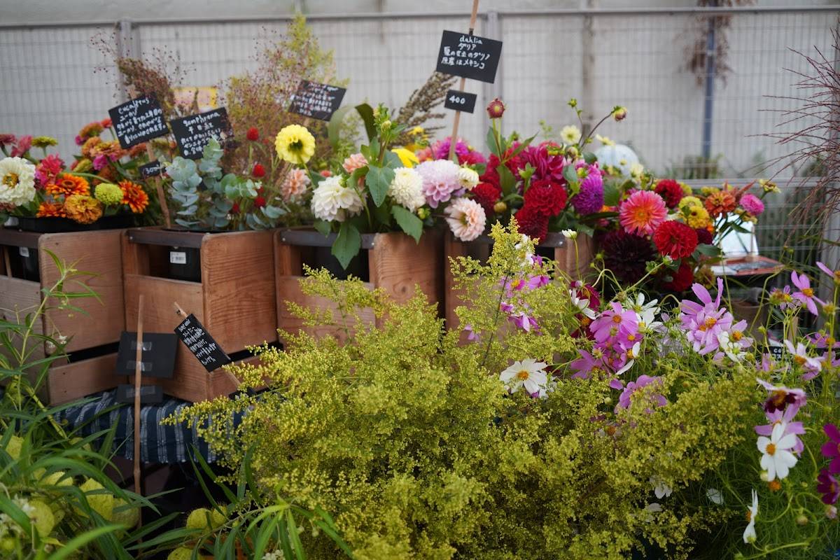 SANCHA HAVE A GOOOD MARKET!!!