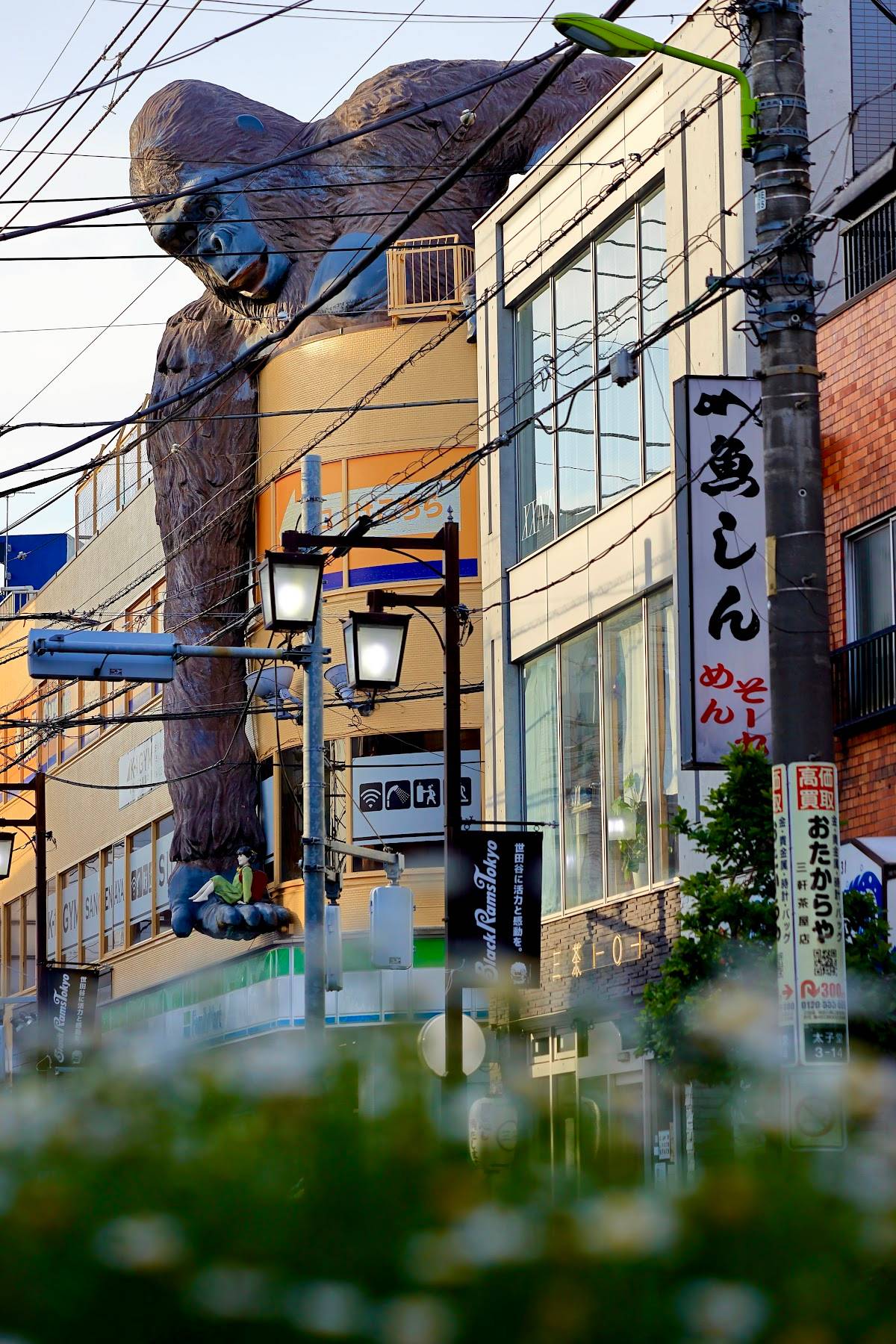 Sangenjaya Gorilla Building