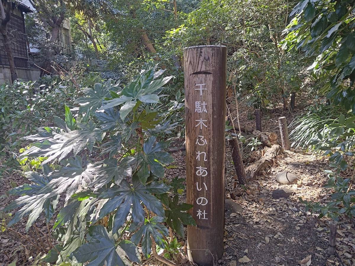 Sendagi Fureai-no-mori